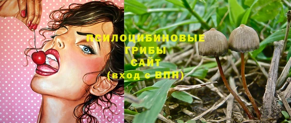 таблы Нея