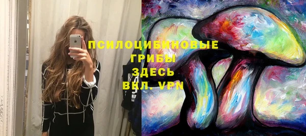 таблы Нея
