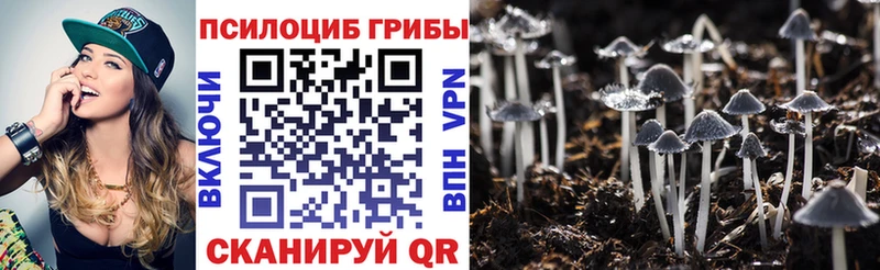 Псилоцибиновые грибы прущие грибы  купить закладку  Углич 