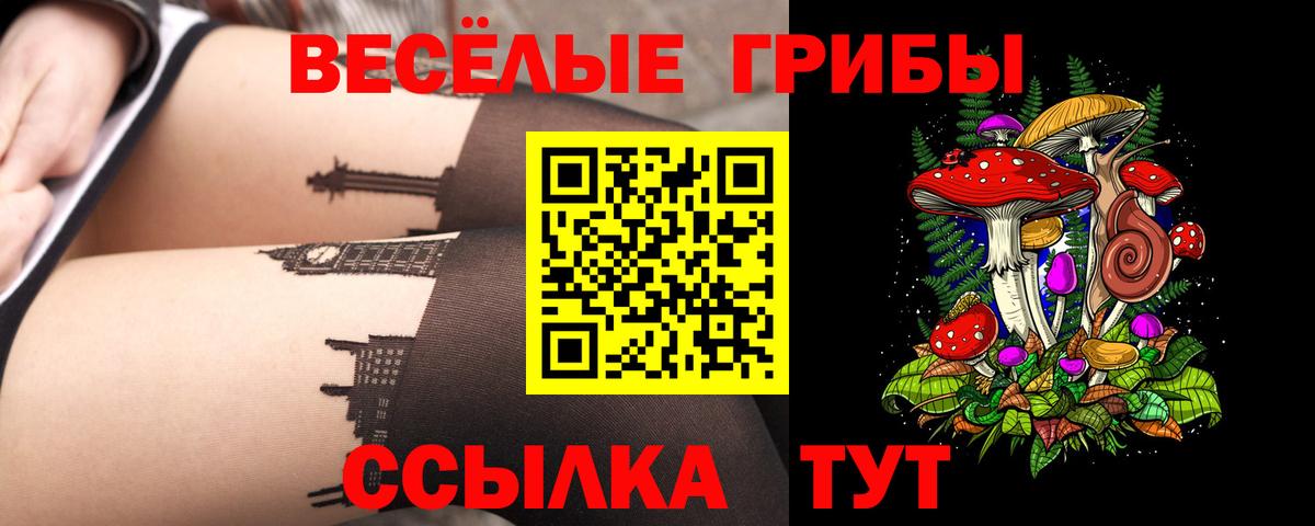 Углич  Псилоцибиновые грибы мухоморы  Вход с VPN 
